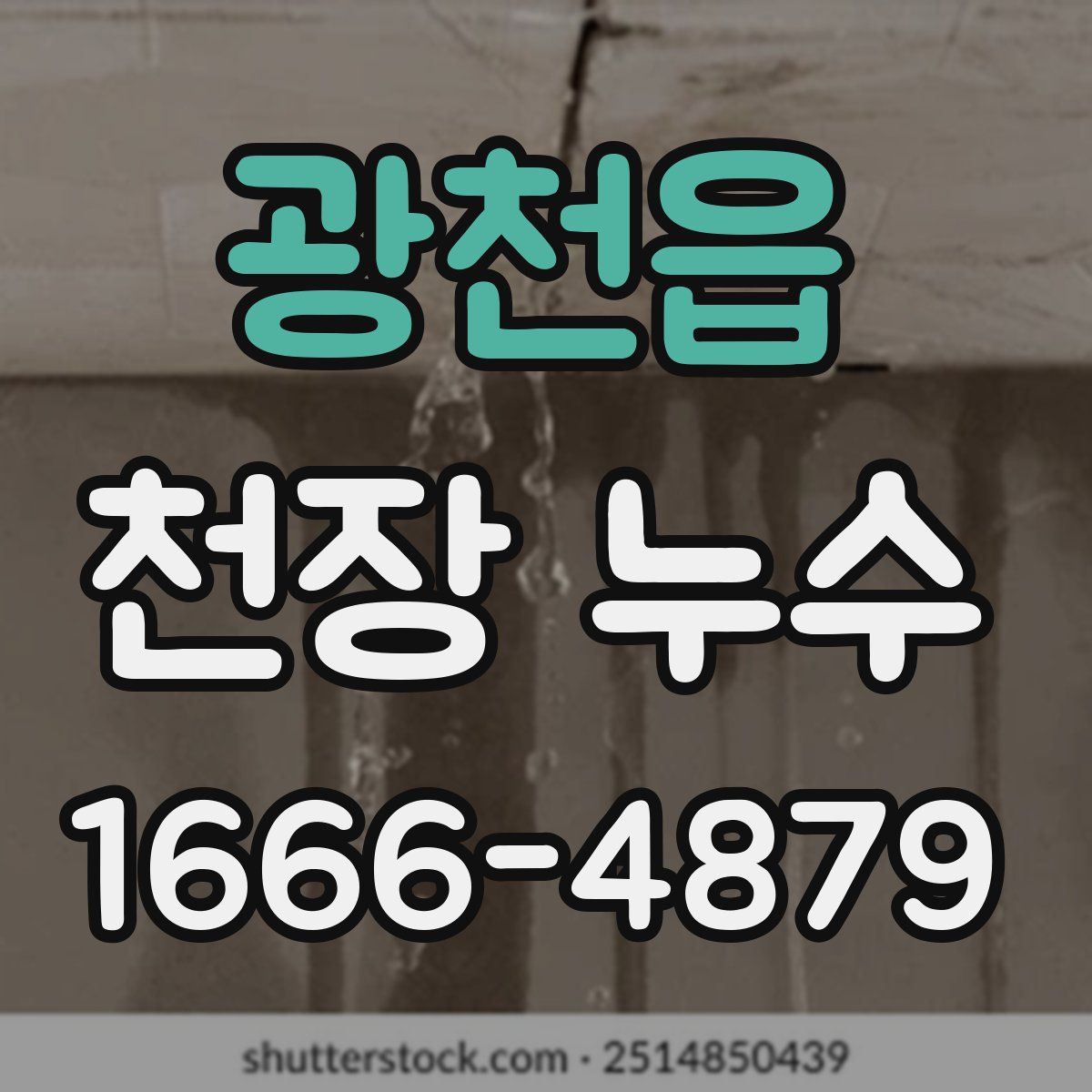 광천읍 천장 누수