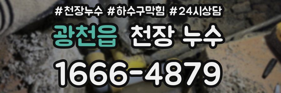 광천읍 천장 누수