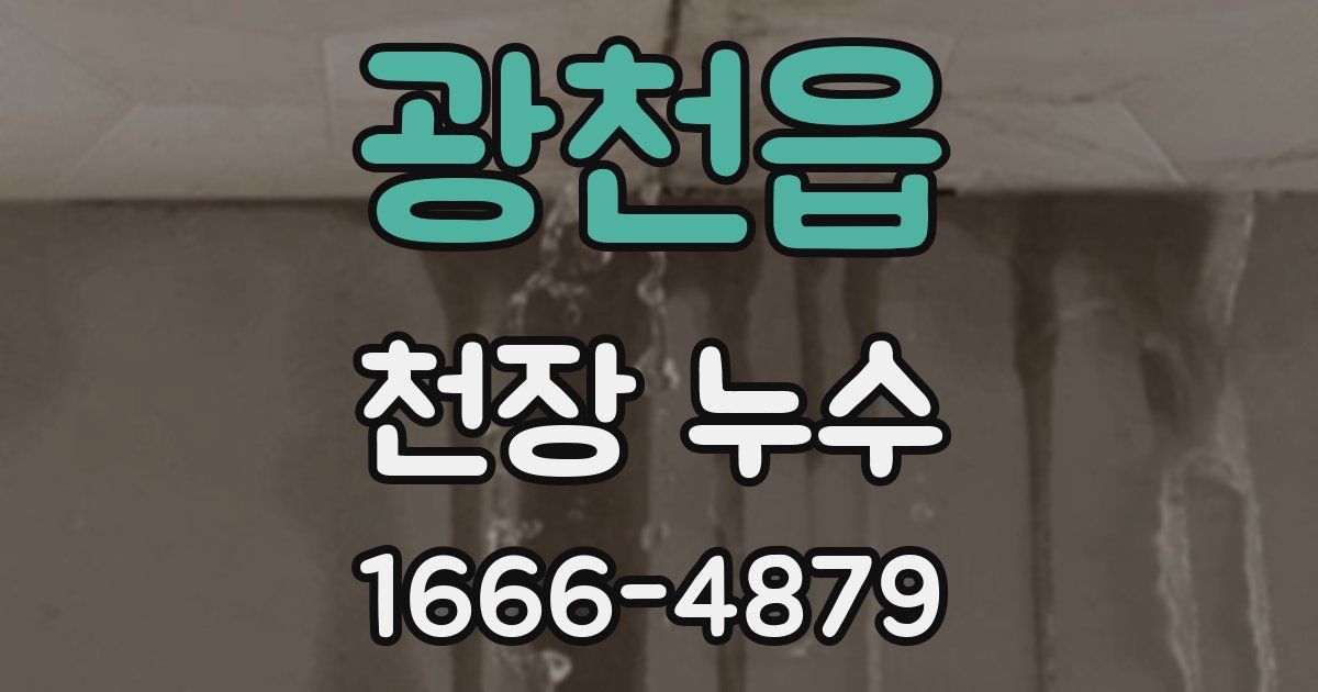 광천읍 천장 누수