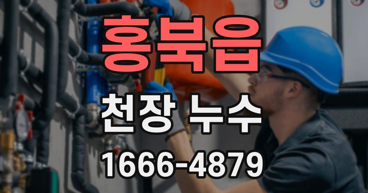 홍북읍 천장 누수