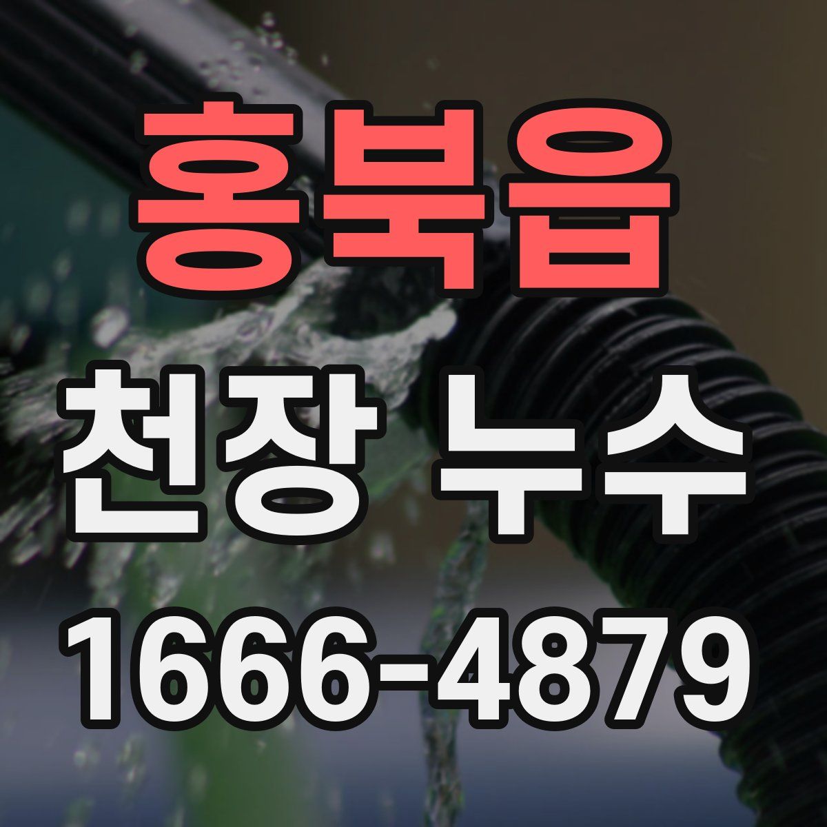 홍북읍 천장 누수