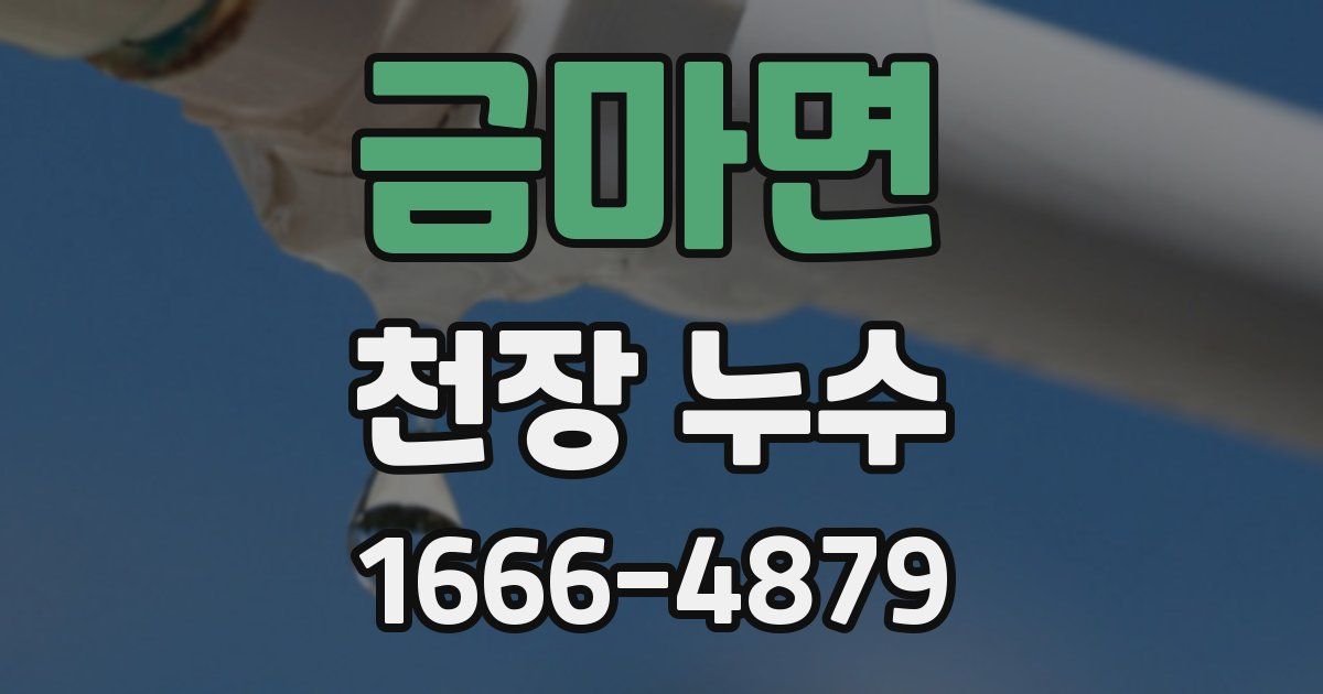 금마면 천장 누수