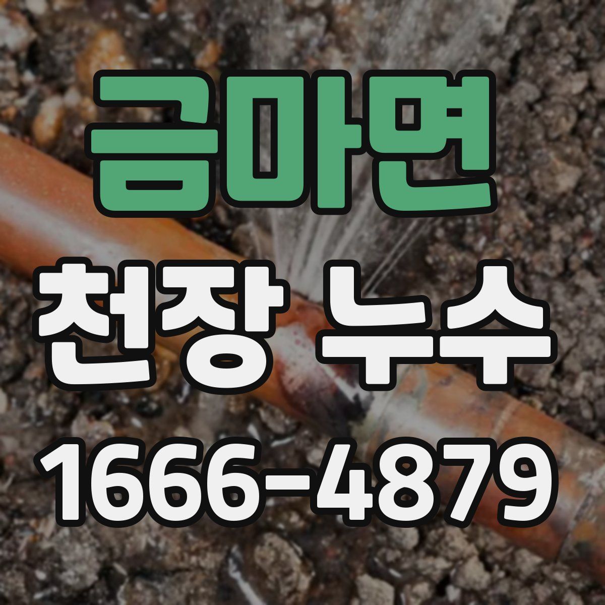 금마면 천장 누수