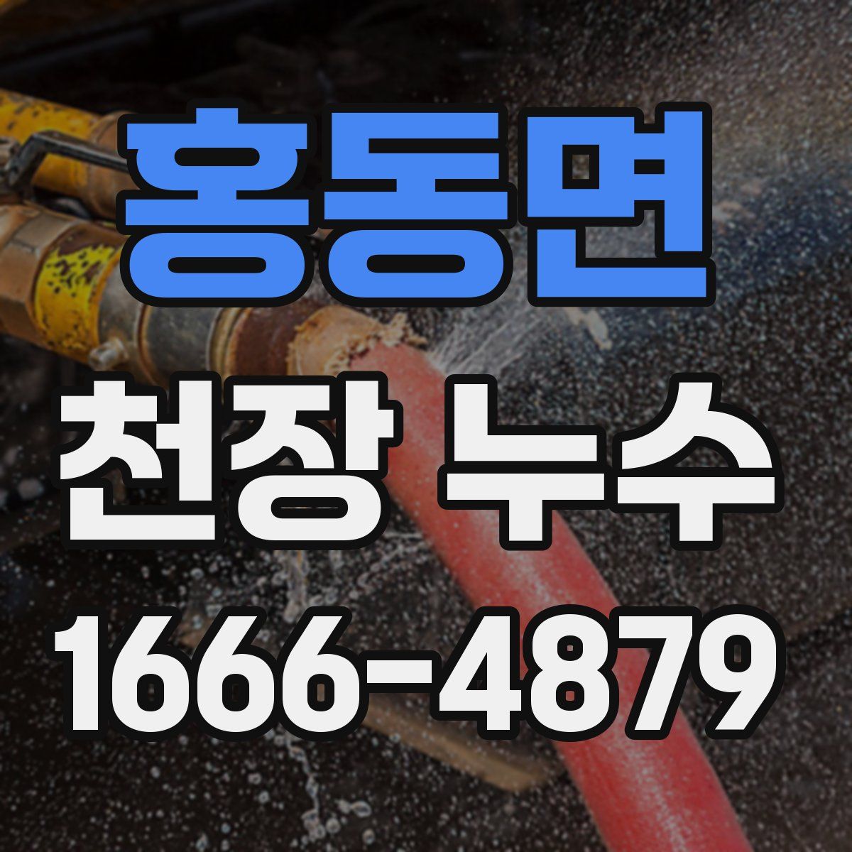 홍동면 천장 누수