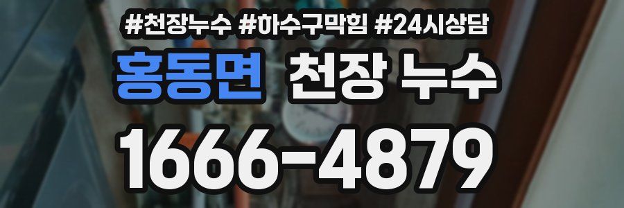 홍동면 천장 누수