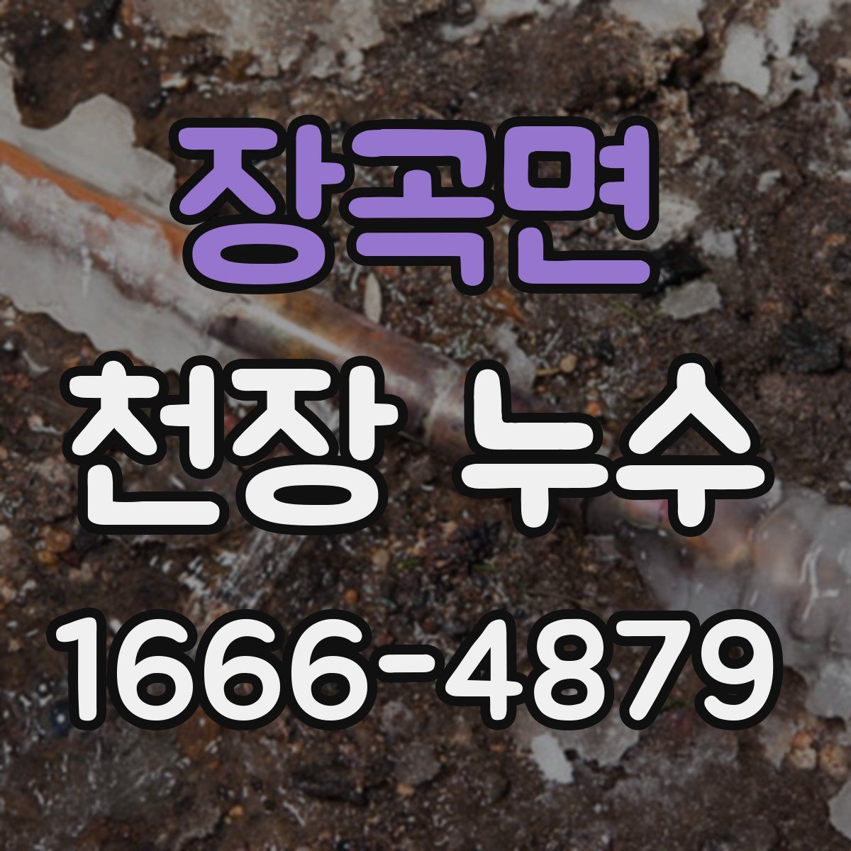 장곡면 천장 누수