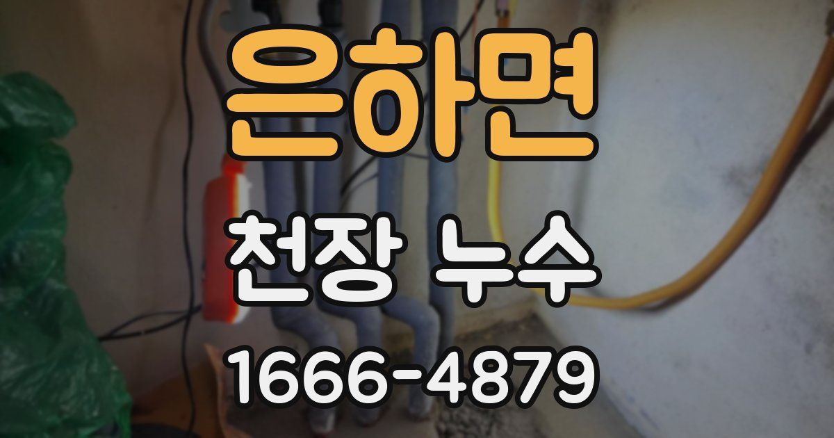 은하면 천장 누수