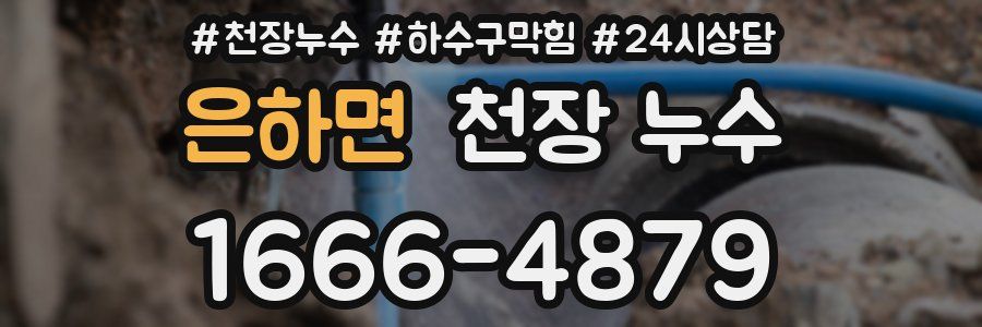 은하면 천장 누수