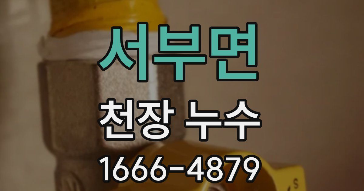 서부면 천장 누수