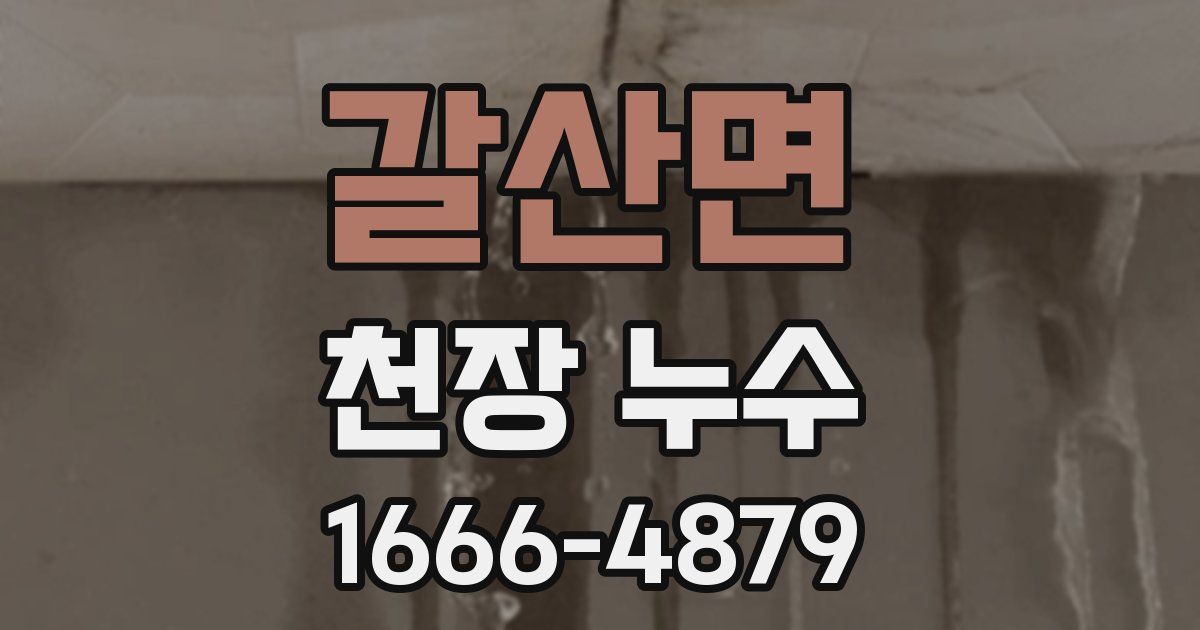 갈산면 천장 누수