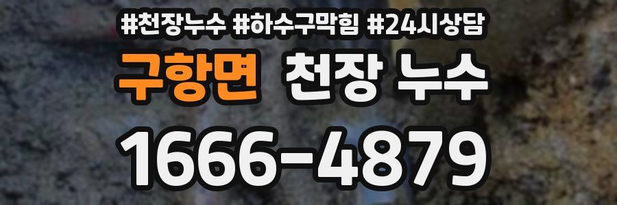 구항면 천장 누수