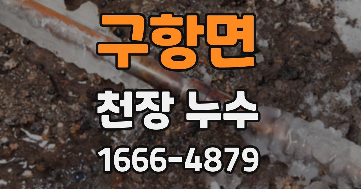 구항면 천장 누수