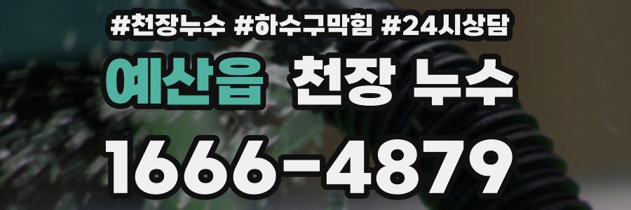 예산읍 천장 누수