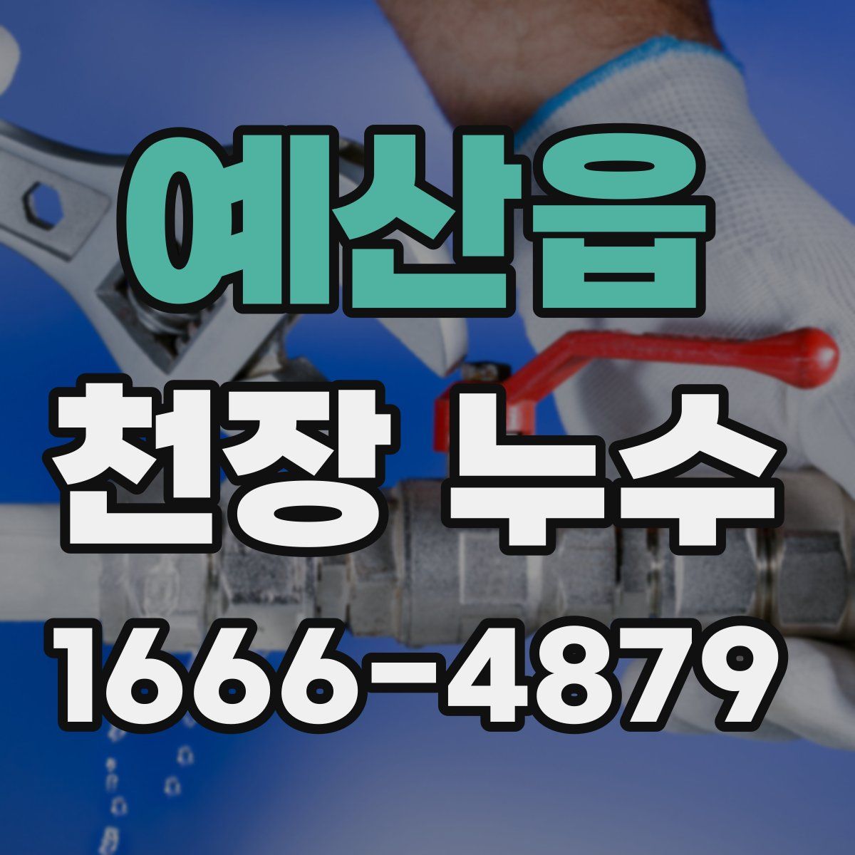 예산읍 천장 누수