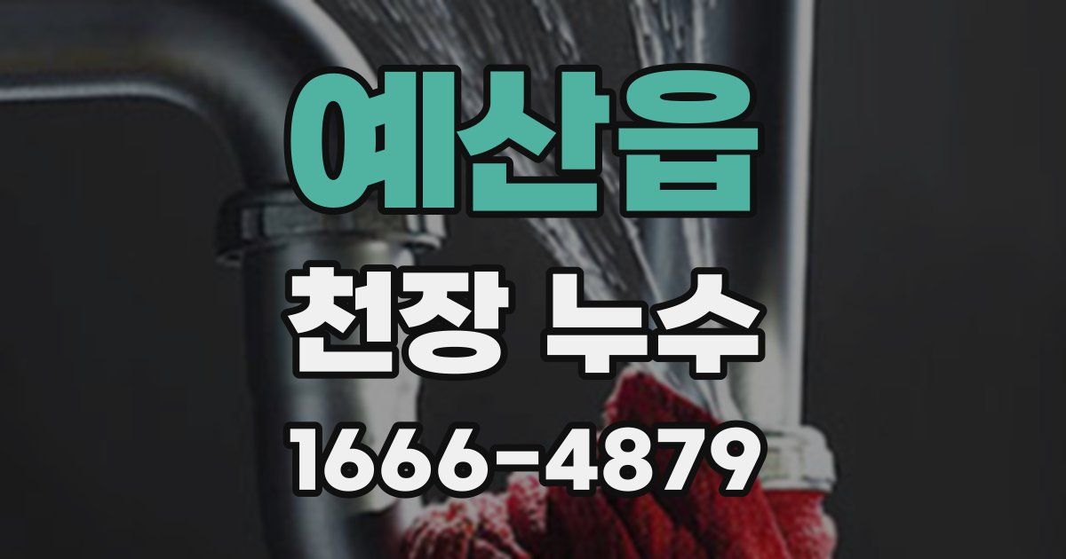 예산읍 천장 누수