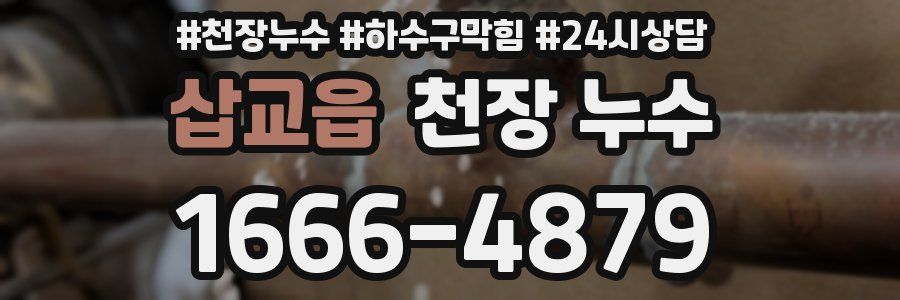 삽교읍 천장 누수