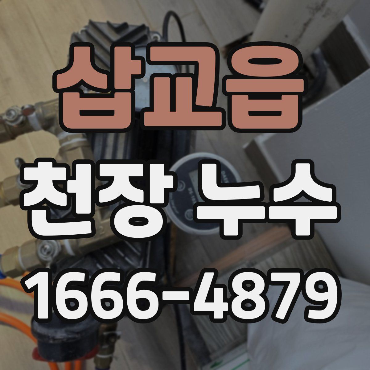 삽교읍 천장 누수