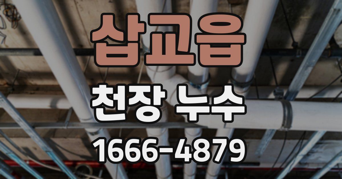 삽교읍 천장 누수