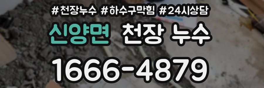 신양면 천장 누수