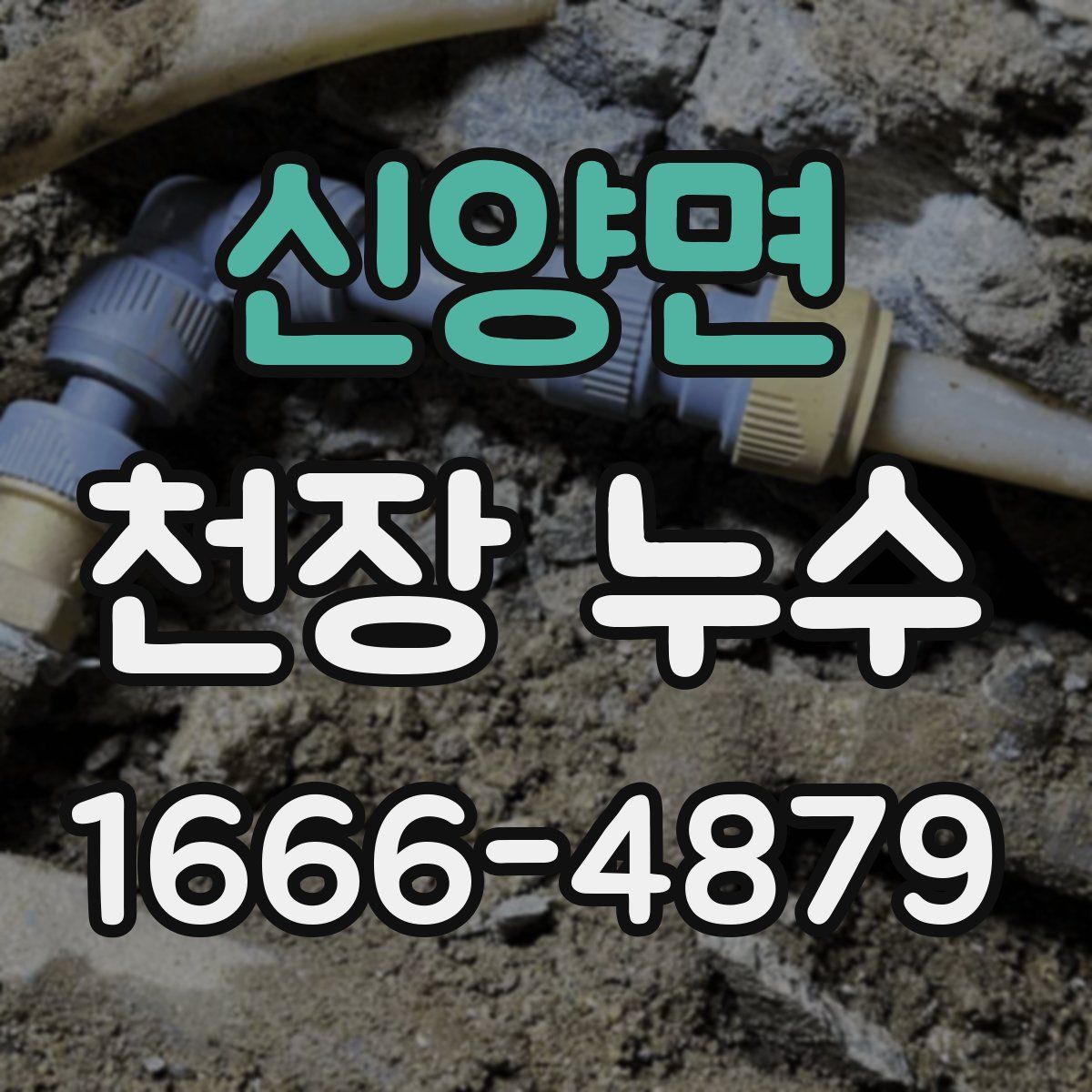 신양면 천장 누수