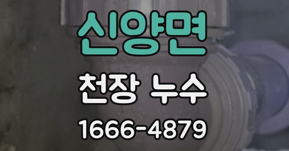 신양면 천장 누수