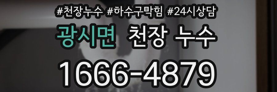 광시면 천장 누수