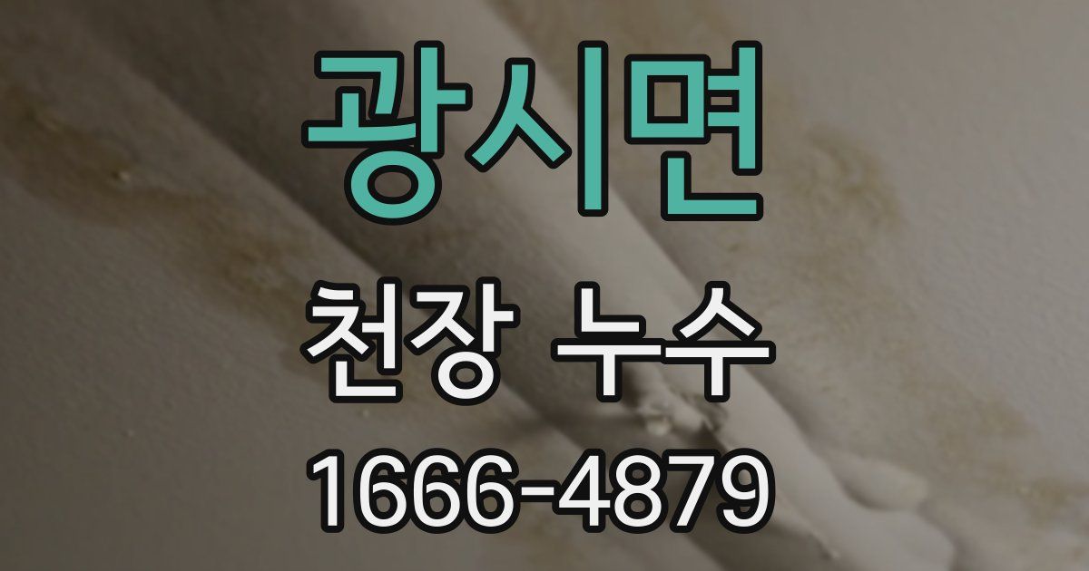 광시면 천장 누수