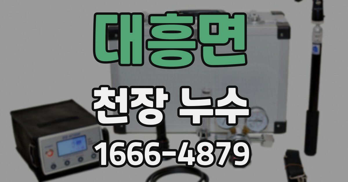 대흥면 천장 누수