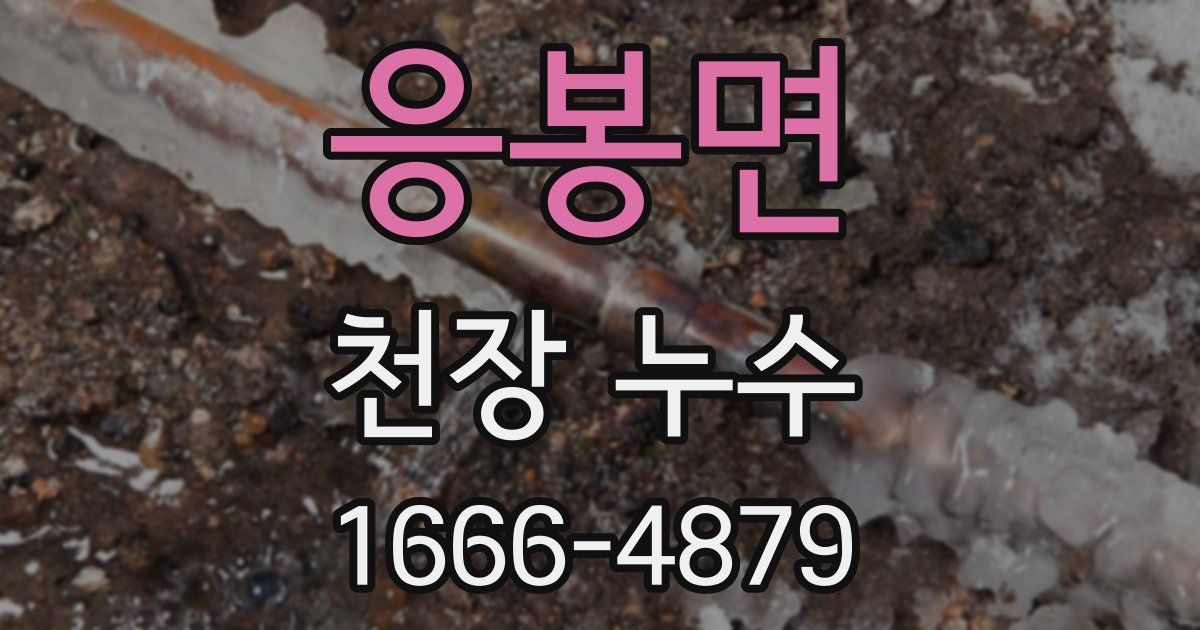 응봉면 천장 누수