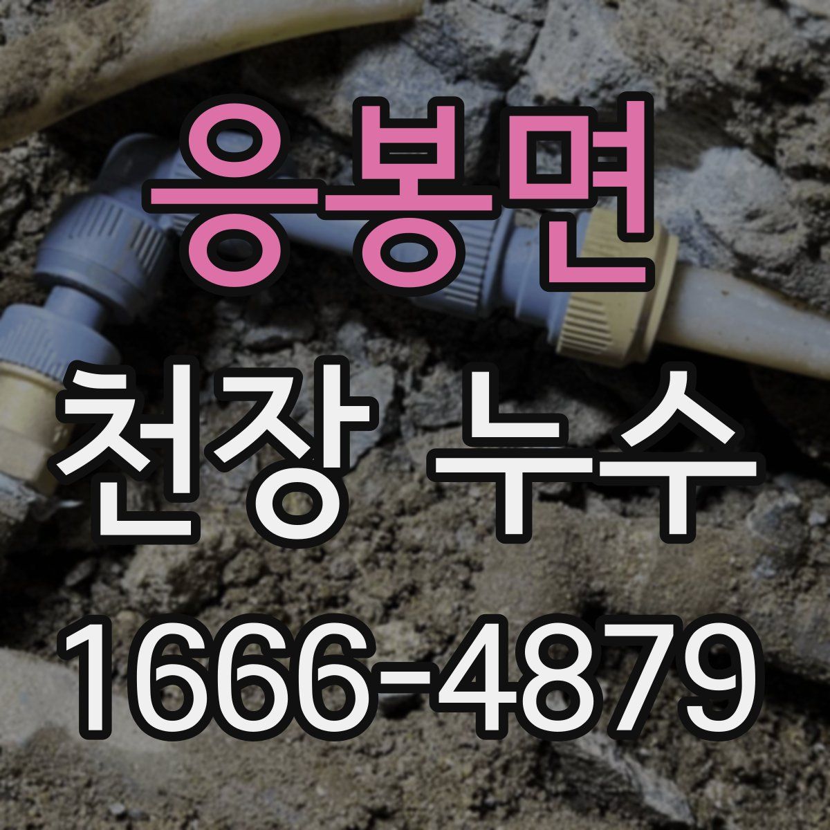 응봉면 천장 누수