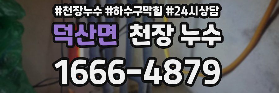 덕산면 천장 누수