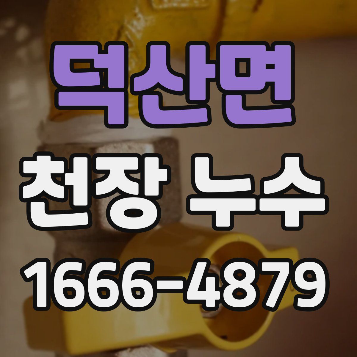 덕산면 천장 누수