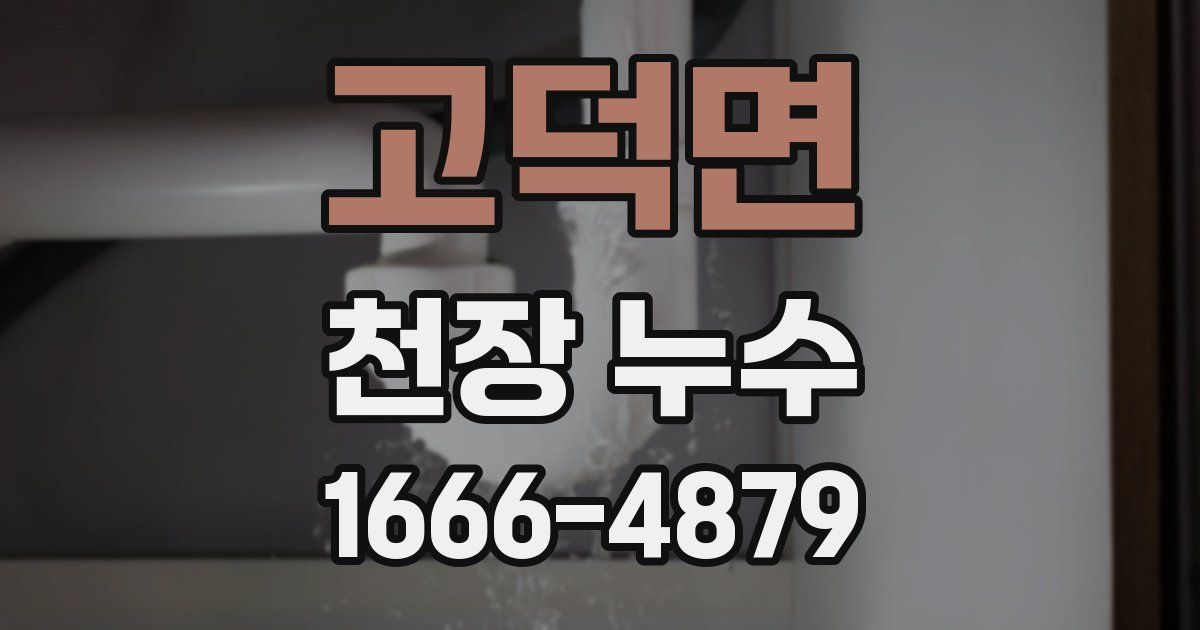 고덕면 천장 누수