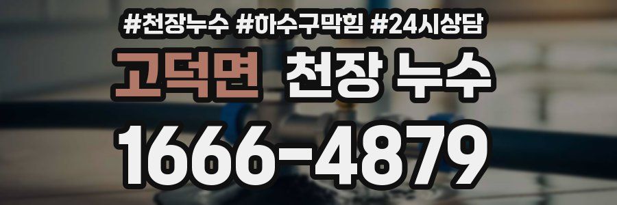 고덕면 천장 누수