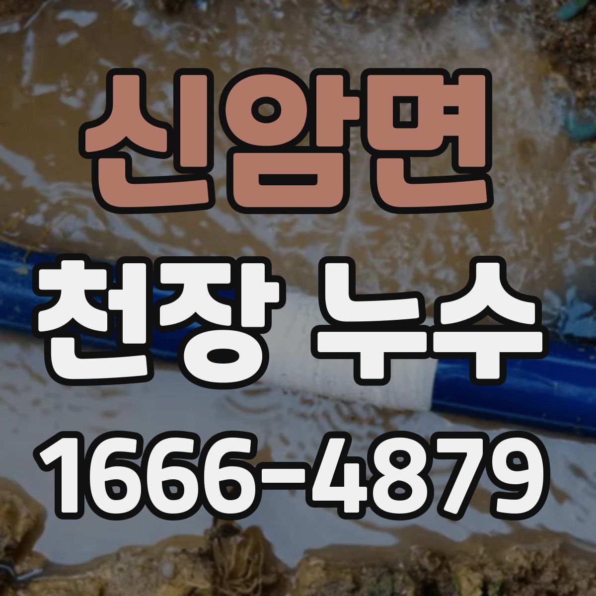 신암면 천장 누수