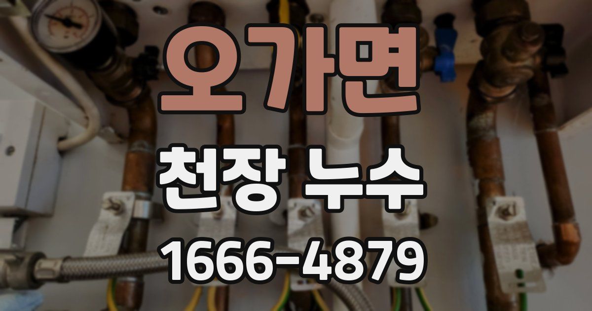 오가면 천장 누수