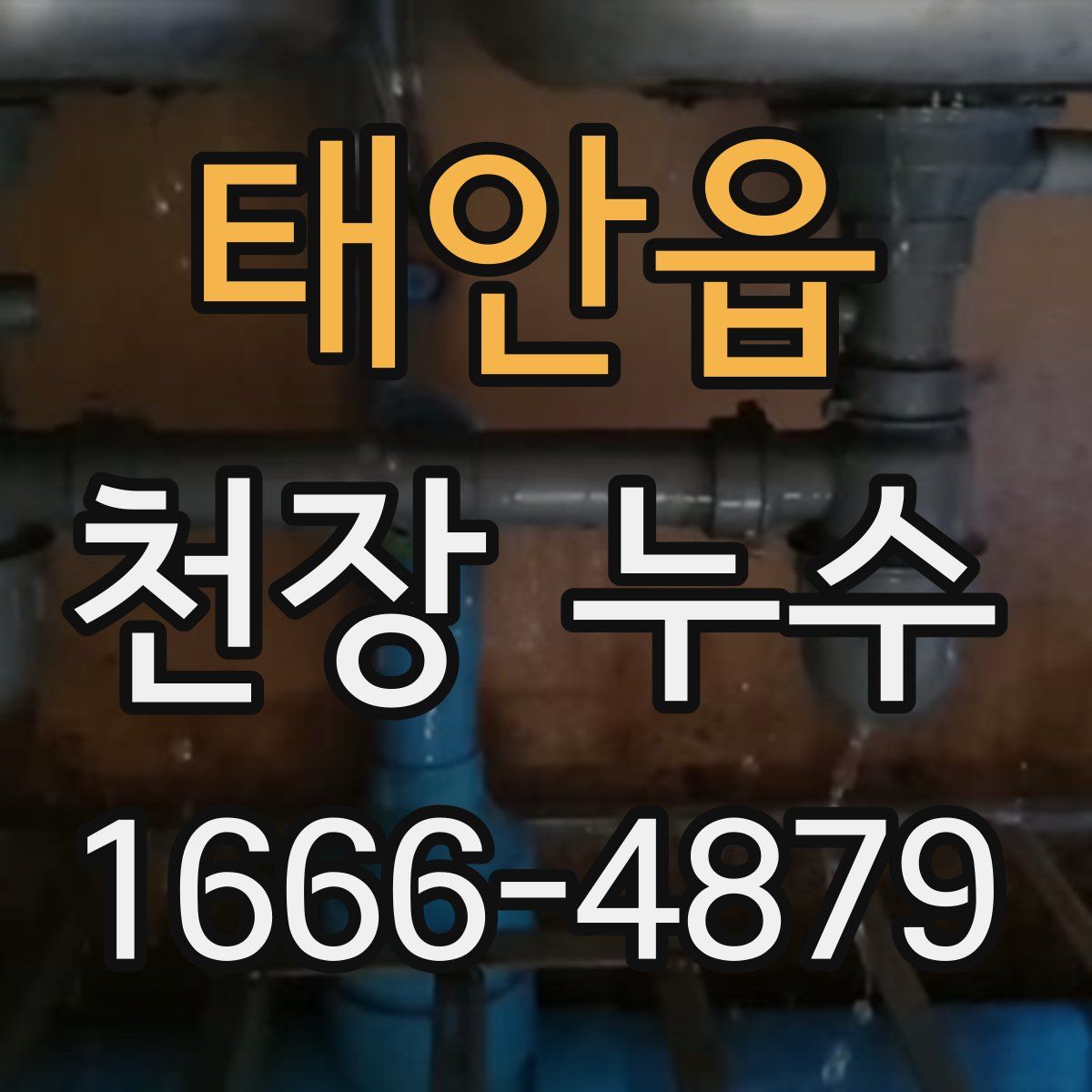 태안읍 천장 누수