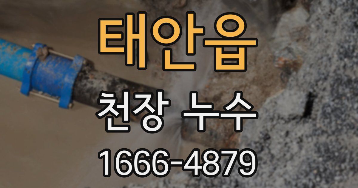 태안읍 천장 누수