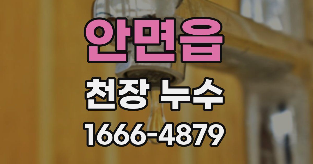 안면읍 천장 누수