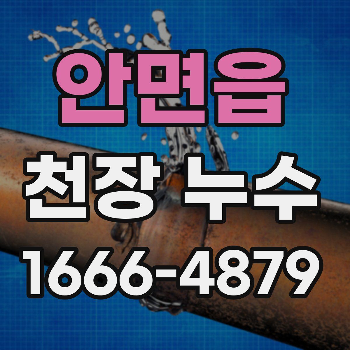 안면읍 천장 누수