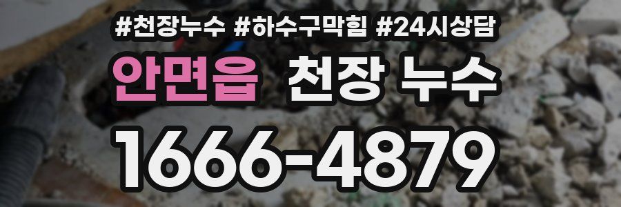 안면읍 천장 누수