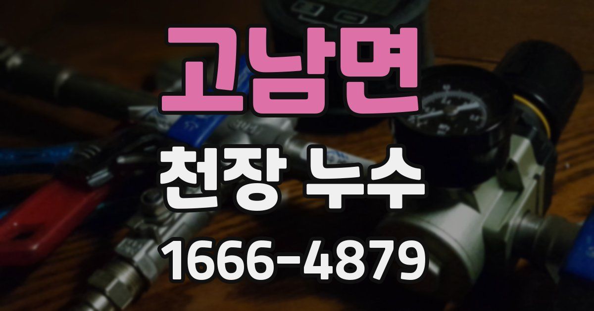 고남면 천장 누수