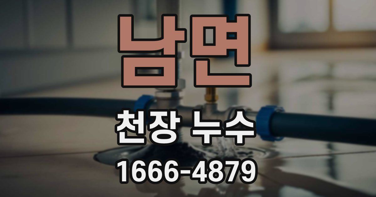 남면 천장 누수