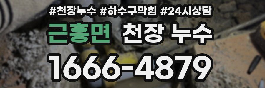 근흥면 천장 누수