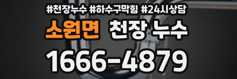 소원면 천장 누수