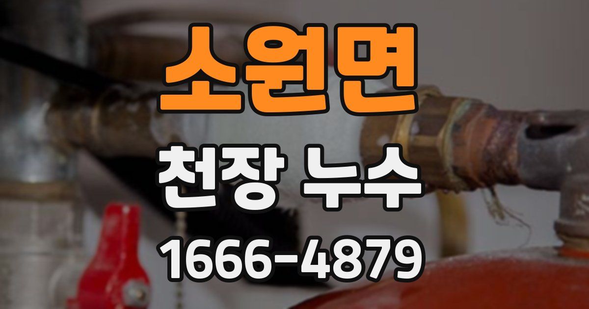 소원면 천장 누수