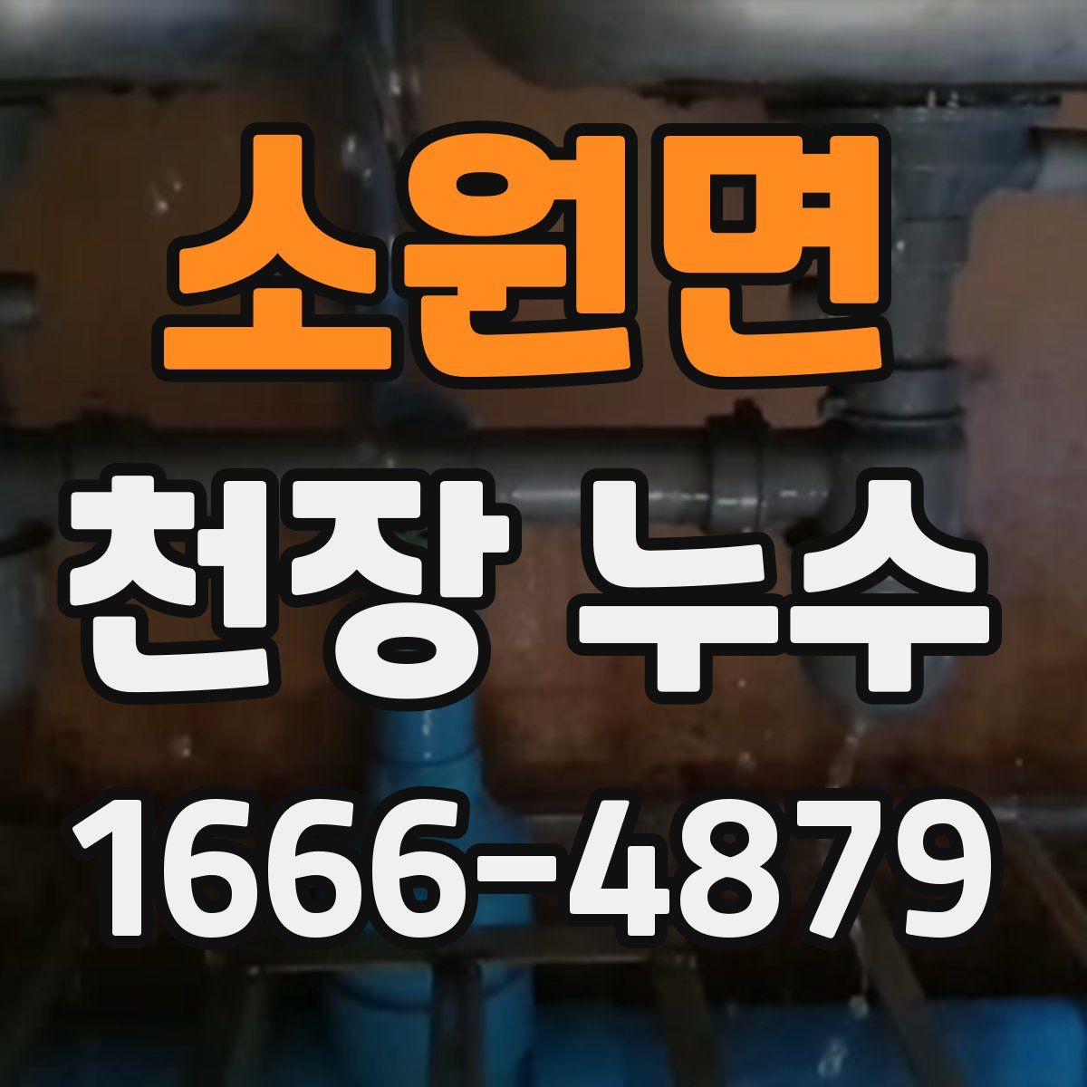 소원면 천장 누수