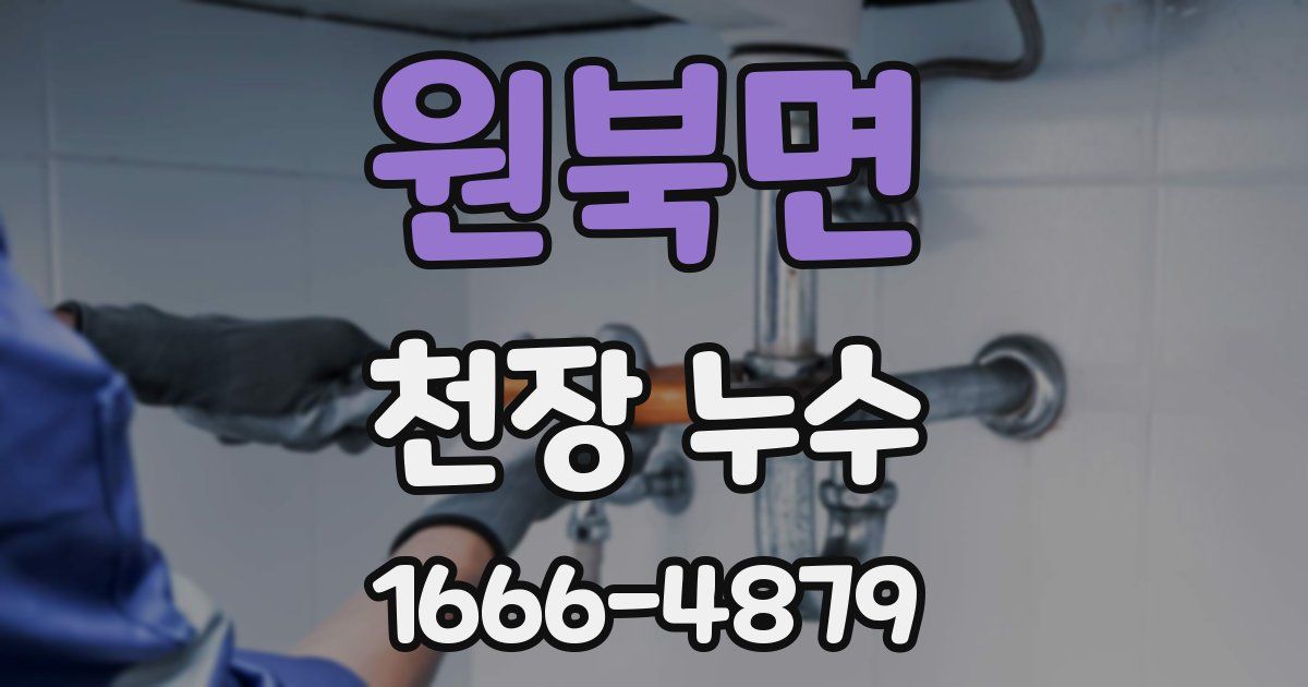 원북면 천장 누수