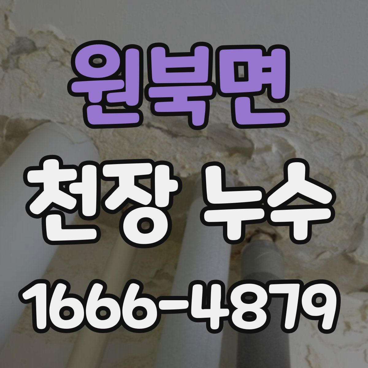 원북면 천장 누수