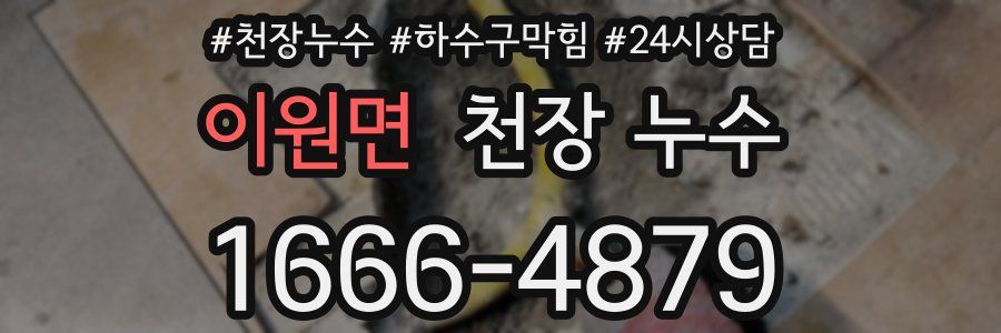 이원면 천장 누수